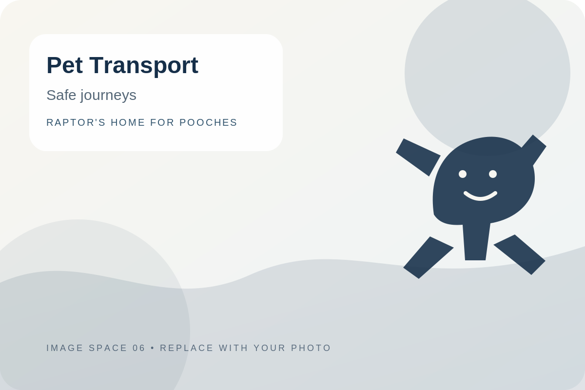 Pet transportation image space